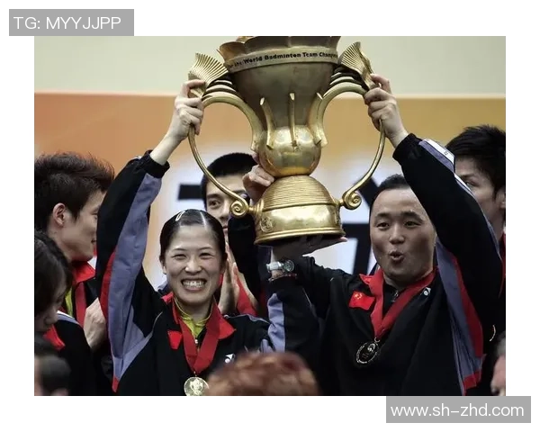 南京羽毛球队在杯赛中的比赛经验与表现分析